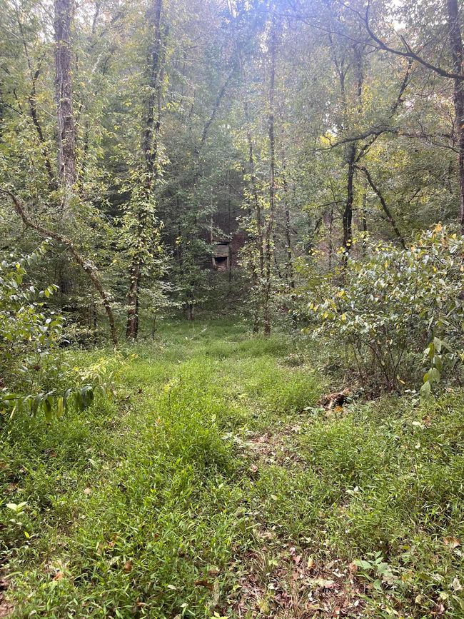 450 County Road 28, House other with 4 bedrooms, 3 bathrooms and null parking in Calhoun TN | Image 118