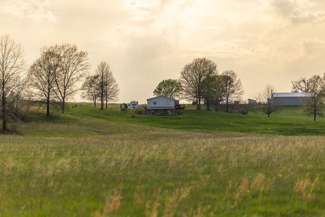 View of yard featuring a rural view | Image 64