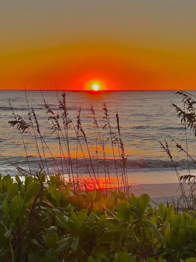 42 - 3183 Windrush Bourne, House other with 2 bedrooms, 2 bathrooms and null parking in SARASOTA FL | Image 52