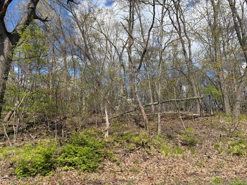 V/L Anderson Road, Cassopolis, MI, 49031 | Card Image