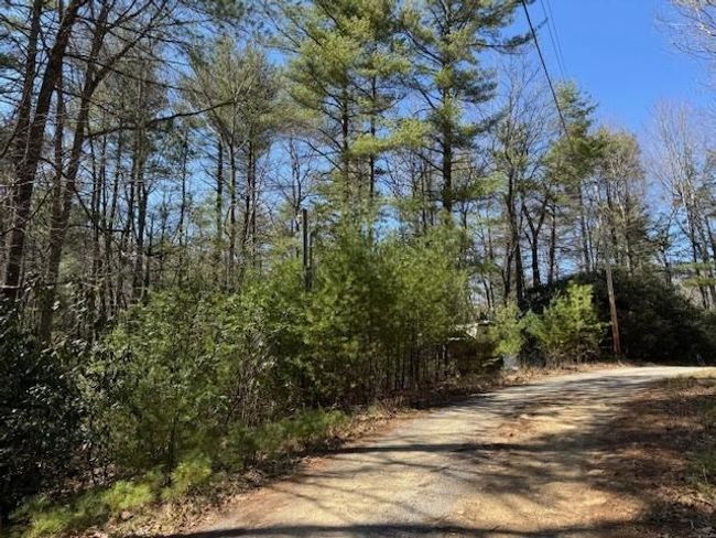0 Buck Hollow Trl, Home with 0 bedrooms, 0 bathrooms and null parking in Sugar Grove VA | Image 8