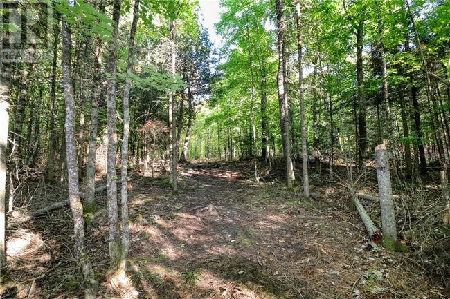 98 Steven St, Home with 0 bedrooms, 0 bathrooms and null parking in Gore Bay ON | Image 30