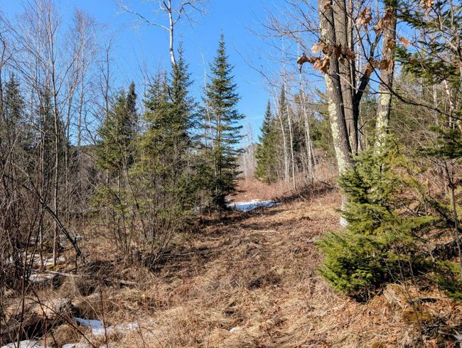 N12912 State Highway 13, House other with 2 bedrooms, 1 bathrooms and null parking in Fifield WI | Image 15