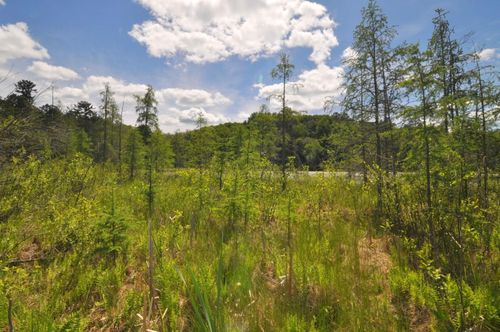 Lot 2 Evening Vista Trl, Akeley, MN, 56433 | Card Image