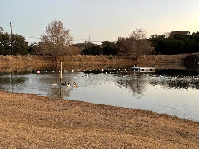 Community Pond | Image 26