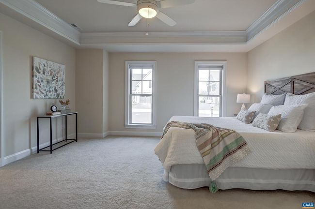 Main level primary suite with luxurious carpeting and tray ceiling. | Image 26