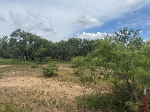 TBD Coppic Ranch Rd, Brownwood, TX, 76801 | Card Image