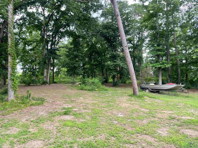 201 Brahman Rd, House other with 4 bedrooms, 3 bathrooms and null parking in Big Sandy TX | Image 23