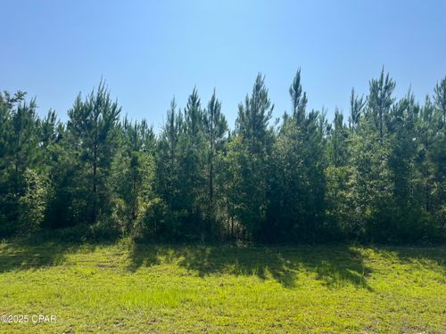 0 Se Nadine Stone Landing Rd, Wewahitchka, FL, 32449 | Card Image