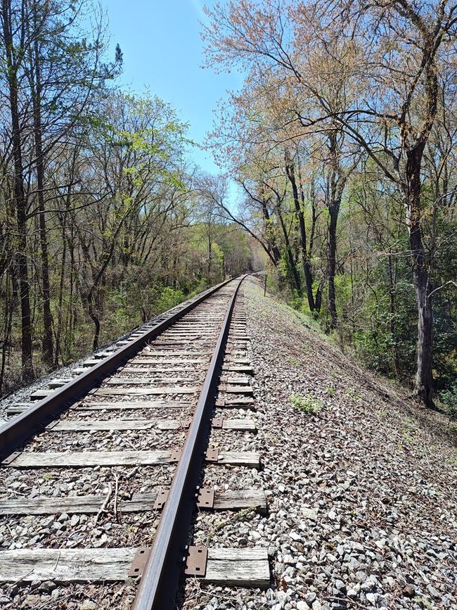 Lot 4 Megan Trace Ln, Home with 0 bedrooms, 0 bathrooms and null parking in Turtletown TN | Image 24