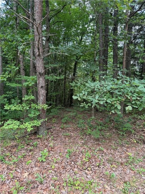 720 John Henry Brown Rd, Clover, VA, 24534 | Card Image