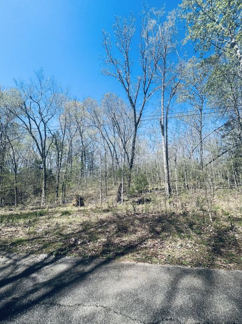 0 Iron Horse Trl, Parsons, TN, 38363 | Card Image