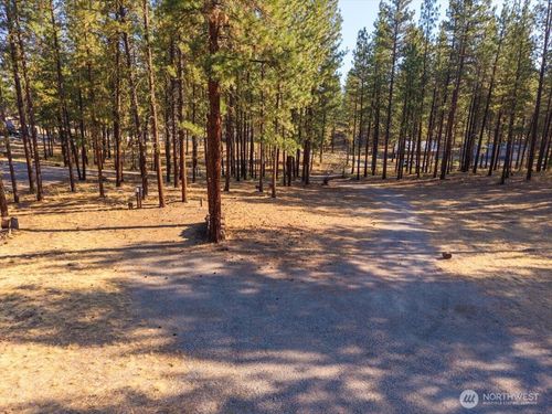 96 Twin Lakes Dr, Winthrop, WA, 98862-9157 | Card Image