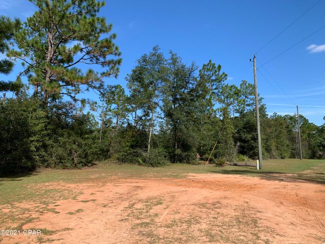 0000 Drury Ln, Home with 0 bedrooms, 0 bathrooms and null parking in Alford FL | Image 9