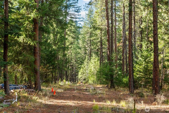 0 S Shugart Flats Rd, Home with 0 bedrooms, 0 bathrooms and null parking in Leavenworth WA | Image 6