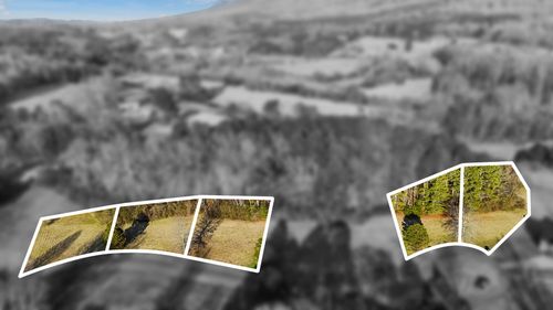 113 Tadpole Ln, Benton, TN, 37307-1408 | Card Image