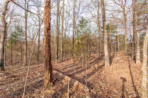 TBD Oakridge Rd, Hardy, AR, 72542 | Card Image