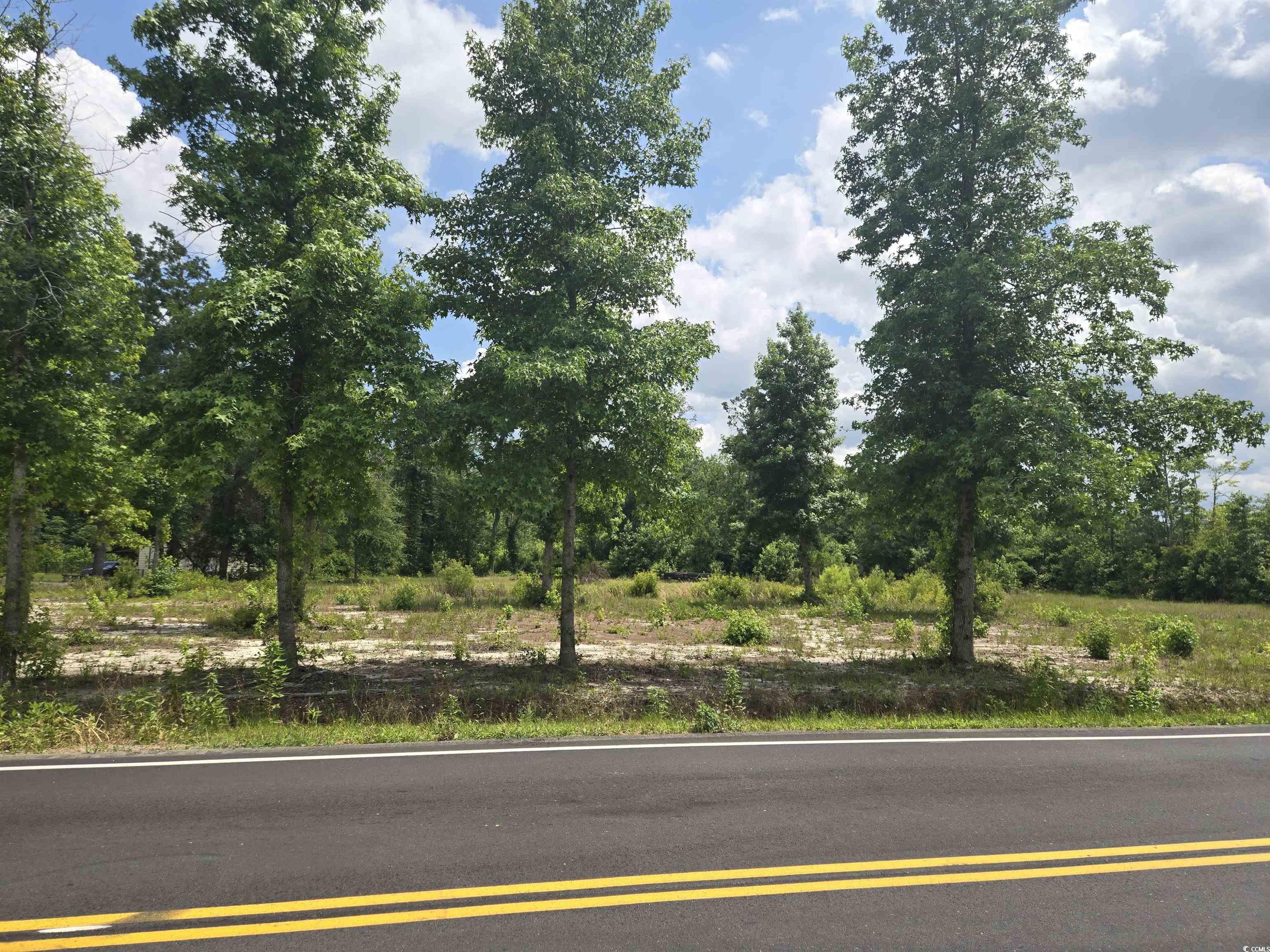 Highway 915 , Loris, SC 29569
