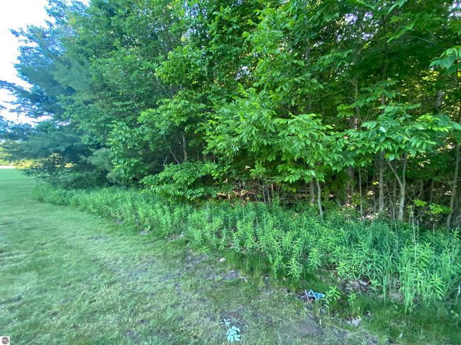 Lot 10 S Club Dr, Home with 0 bedrooms, 0 bathrooms and null parking in Cedar MI | Image 13