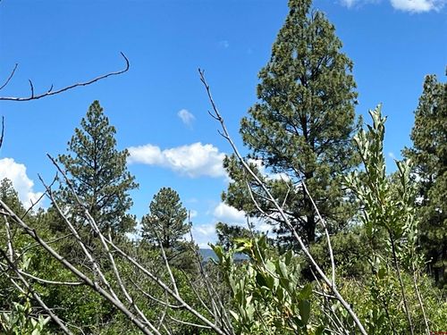 433 Echo Ln, Pagosa Springs, CO, 81147-7808 | Card Image