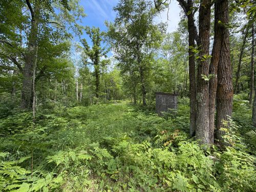 TBD County 95, Laporte, MN, 56461 | Card Image