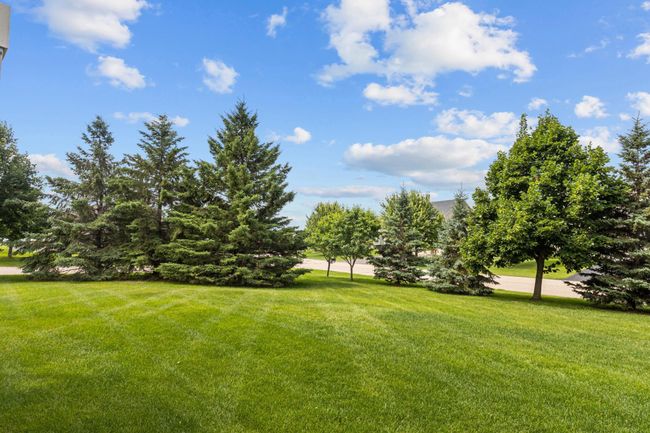 Variety of trees line the edges of yard, giving you added privacy and great views | Image 29