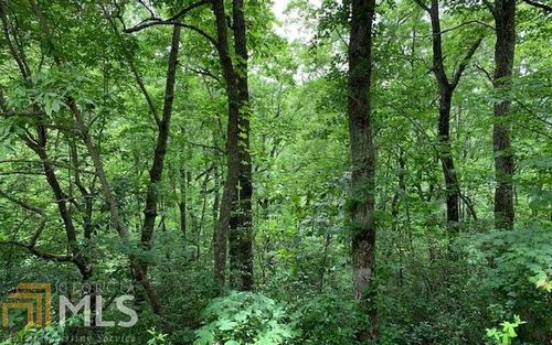 LOT 50A Eagles View, Hayesville, NC, 28904 | Card Image