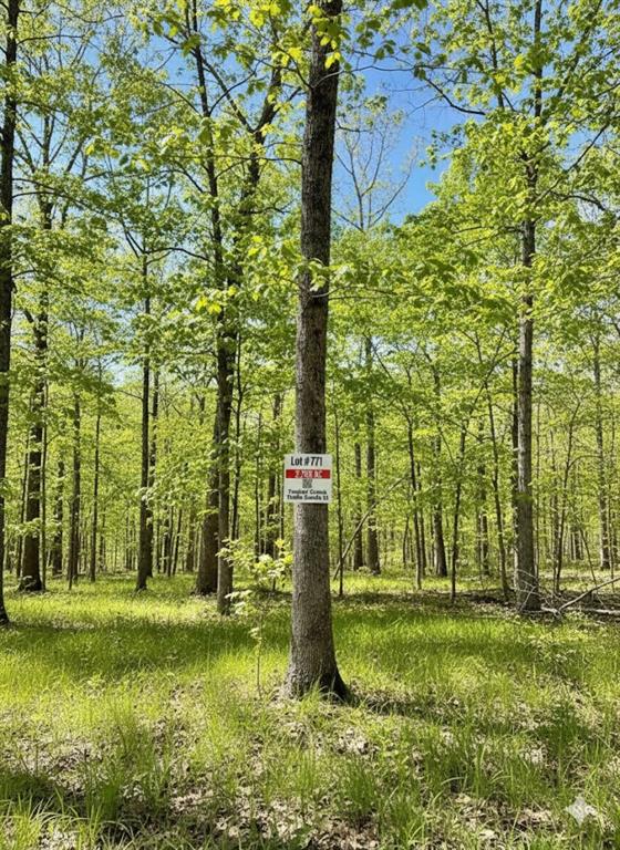 Land in Broken Bow 4