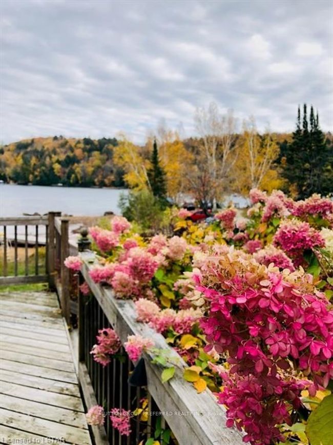 1652 Russell Landing Rd, Home with 0 bedrooms, 0 bathrooms and 100 parking in Dorset ON | Image 8