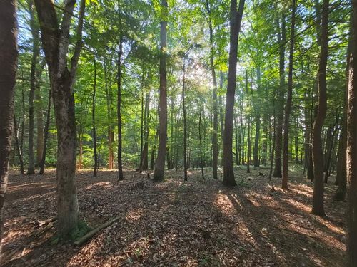 TBD Shady Forrest Rd, Max Meadows, VA, 24360 | Card Image