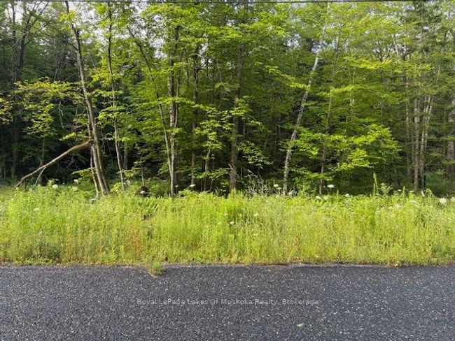 60 Summer Leigh Trail, Home with 0 bedrooms, 0 bathrooms and null parking in Utterson ON | Image 9