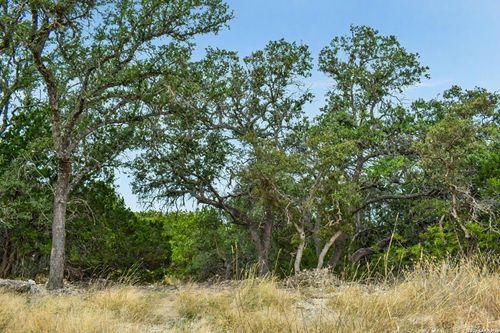 08 W Bison Way, Harper, TX, 78631 | Card Image