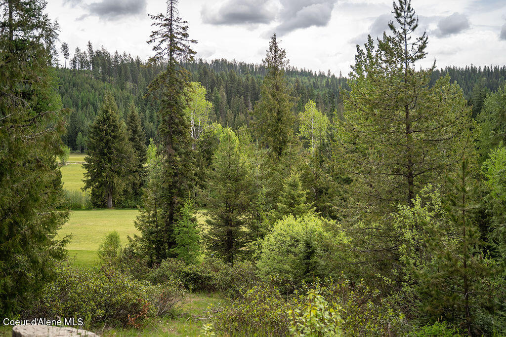 Land in Priest River 3