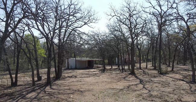 View of yard featuring an outbuilding | Image 6
