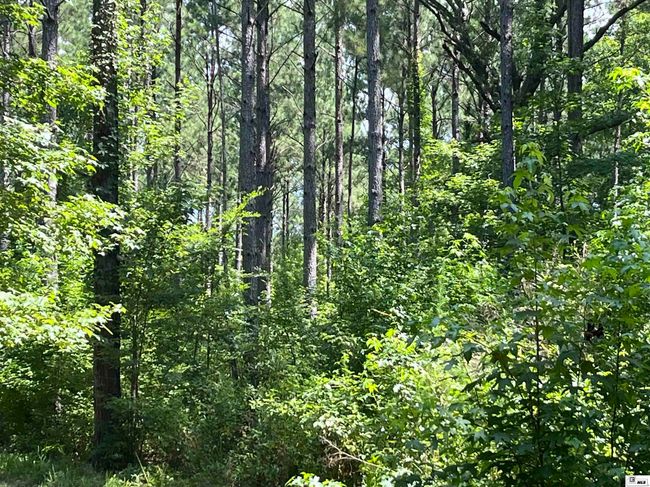 000 Highway 146, Home with 0 bedrooms, 0 bathrooms and null parking in Ruston LA | Image 23