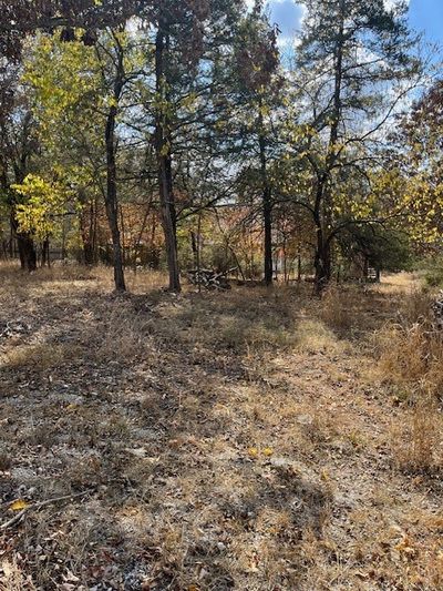 Flat, mostly cleared lot | Image 1