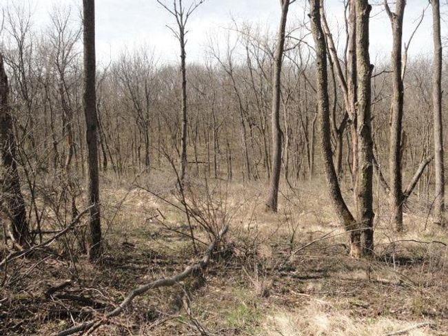 10.45 Acres Ringhand Rd, Home with 0 bedrooms, 0 bathrooms and null parking in SYLVESTER WI | Image 26