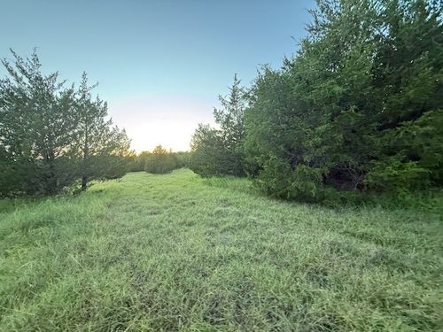 TBD County Road 1150, Lake Creek, TX, 75450 | Card Image