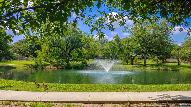 Takas Park | Image 80