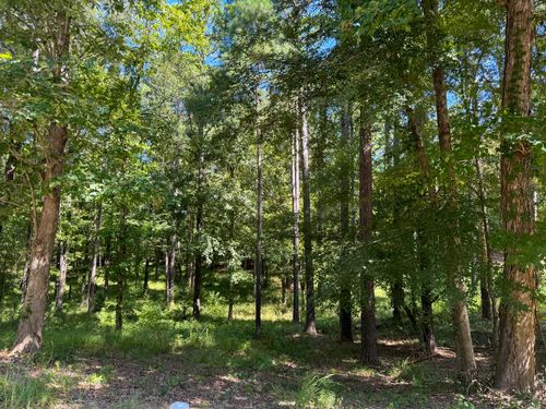 0 Eutaw Springs Trail, North Augusta, SC, 29860 | Card Image