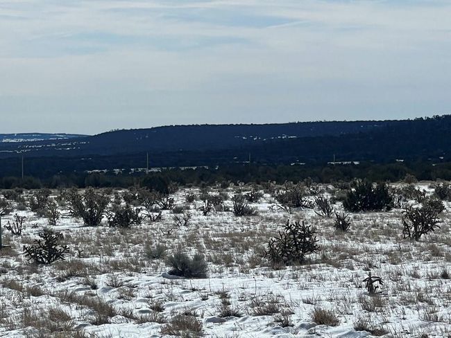 28 Turkey Ridge Rd, Home with 0 bedrooms, 0 bathrooms and null parking in Walsenburg CO | Image 6