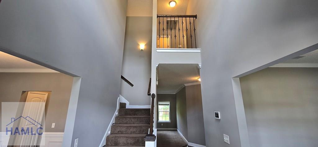 Residential in Allenhurst 3