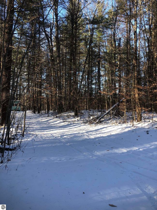 00 M 72 W, Home with 0 bedrooms, 0 bathrooms and null parking in Kalkaska MI | Image 7