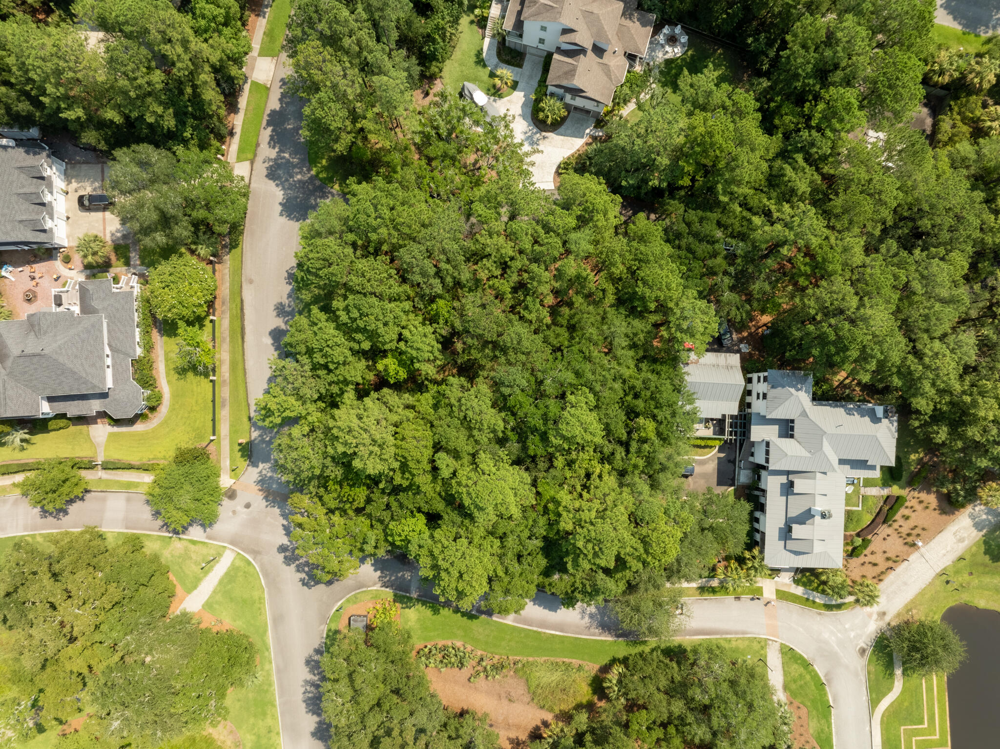 Land in Charleston 4