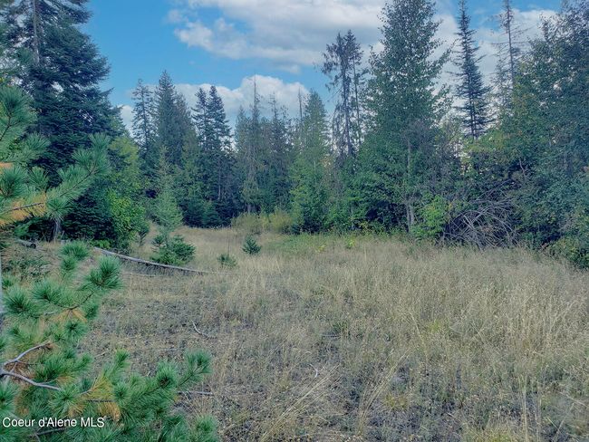 18 Majestic Mountain Rd, Home with 0 bedrooms, 0 bathrooms and null parking in Clark Fork ID | Image 10