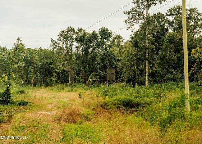 Castens Creek Pics-59 | Image 26