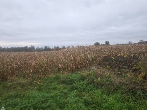 00 Brown Vl Road, Kenockee Township, MI, 48006 | Card Image