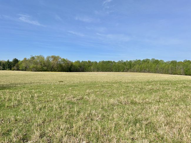 1110 Pomroy Rd, House other with 3 bedrooms, 2 bathrooms and 2 parking in Manchester TN | Image 45