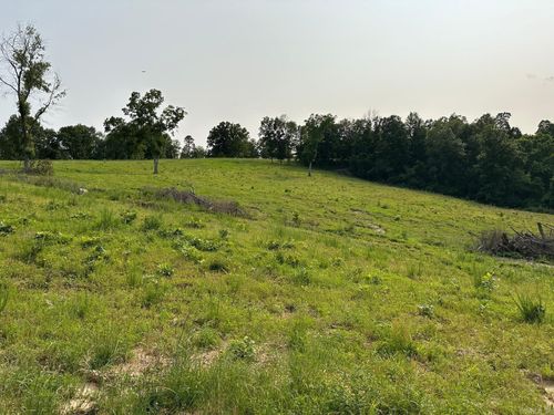 000 Marion County 5014, Everton, AR, 72633 | Card Image