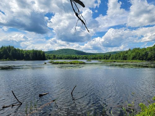 477 Hadley Mill Road, Jackson, ME, 04921 | Card Image